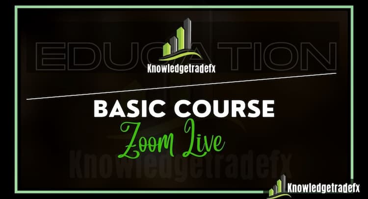 livesession | BASIC TRAINING